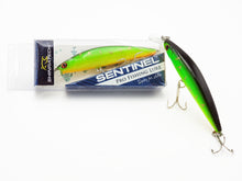 Load image into Gallery viewer, Sentinel Lure Dual Hook - Green Gray
