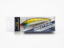 Load image into Gallery viewer, Sentinel Lure Dual Hook - Black Gold
